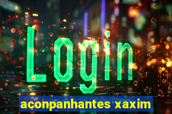 aconpanhantes xaxim